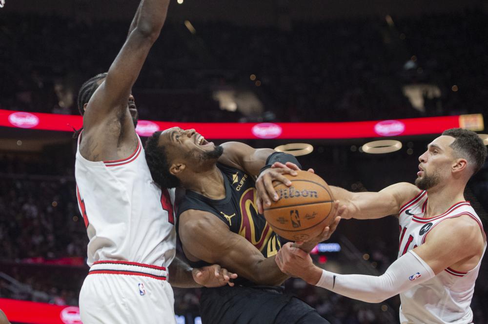 通不仅增进 通不仅增进